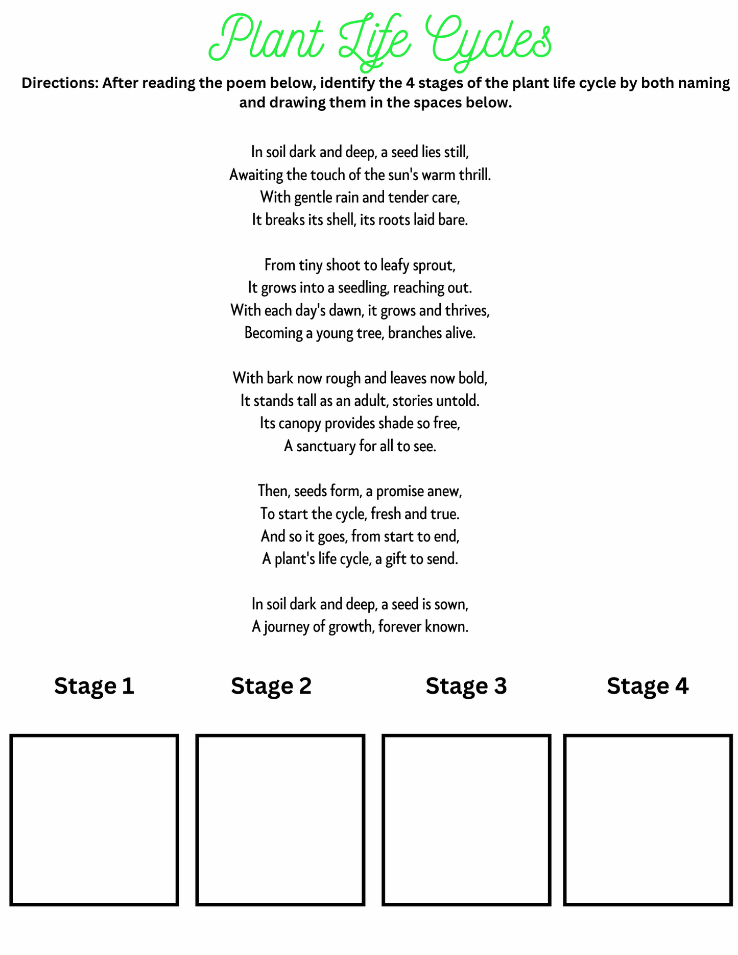 Life Cycles: Plants & Insects Unit Worksheets