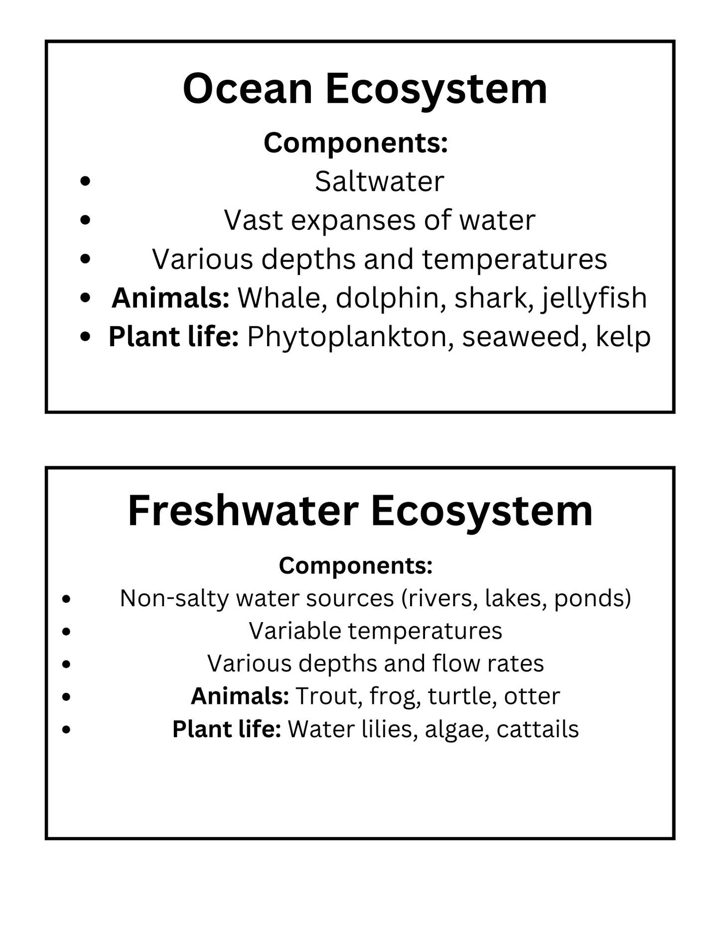 Ecosystem Food Chain Linking & Writing Activity