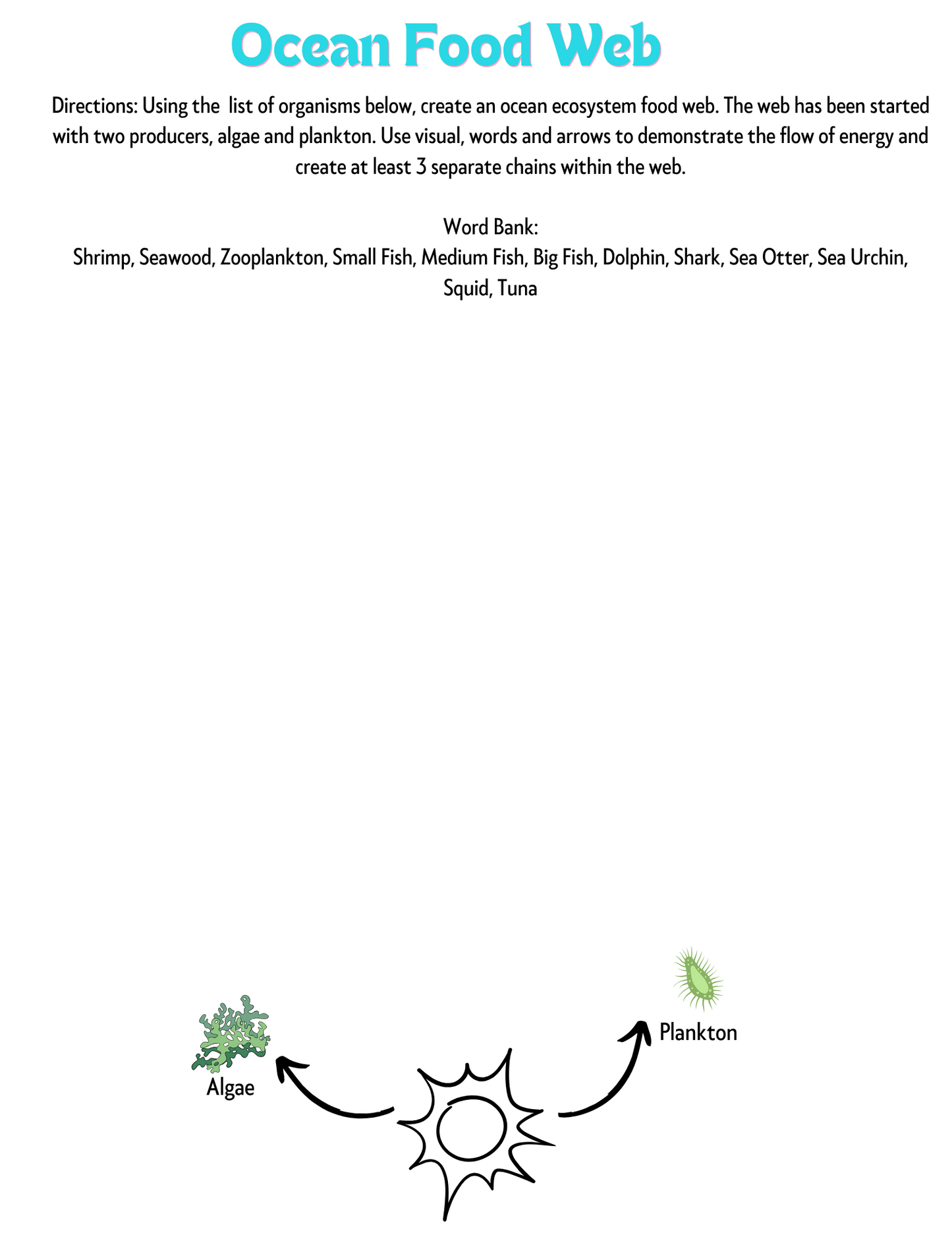 Food Chains Unit Activities