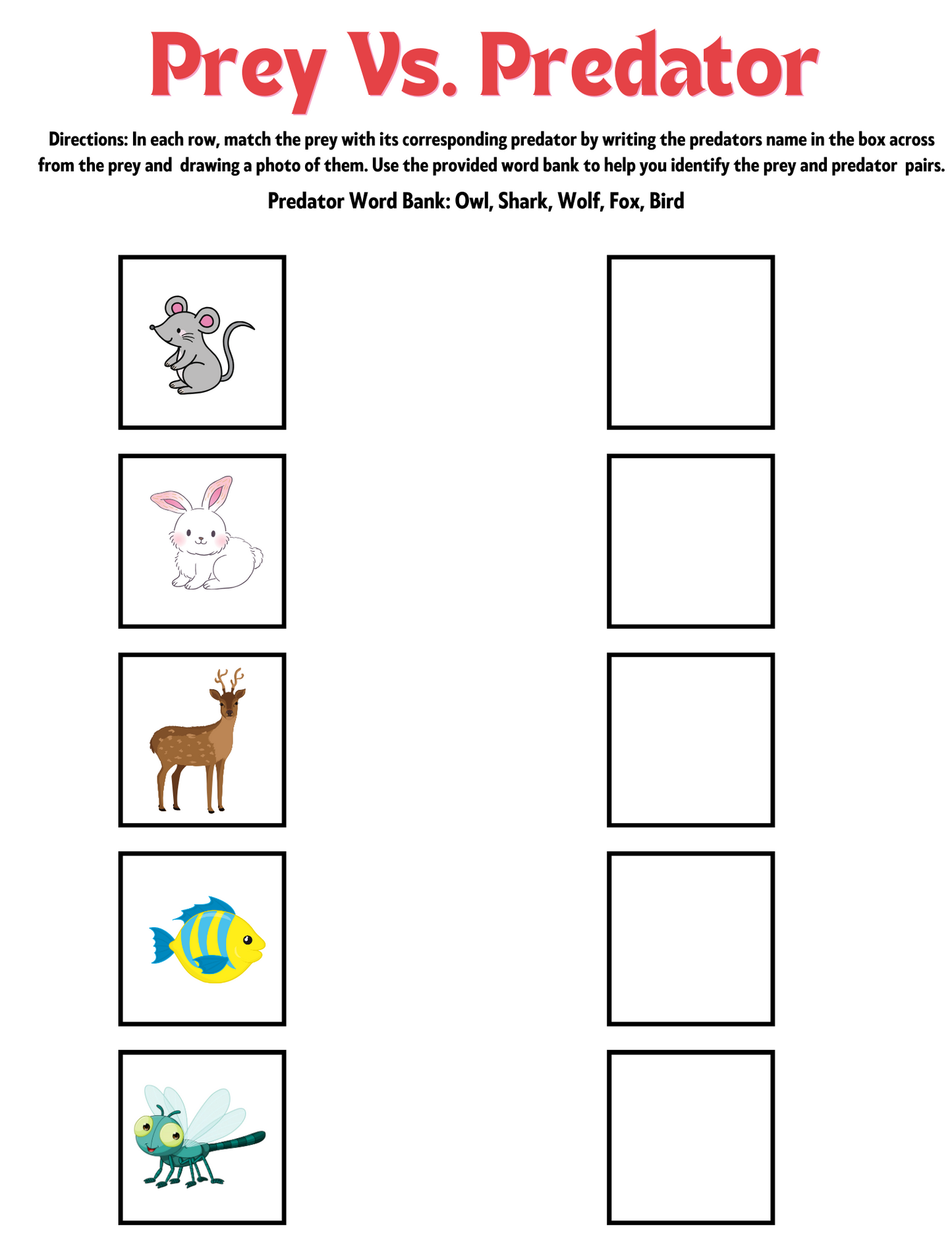 Food Chains Unit Activities