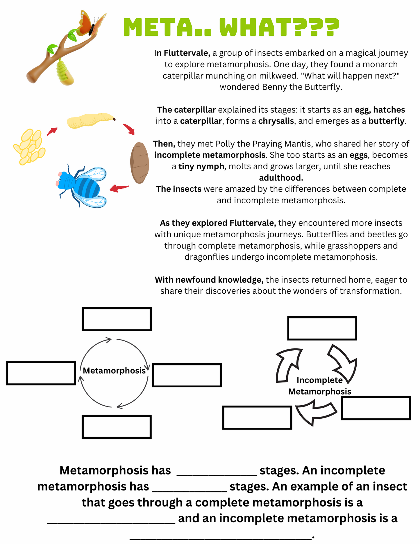 Organisms & Environments Unit Bundle