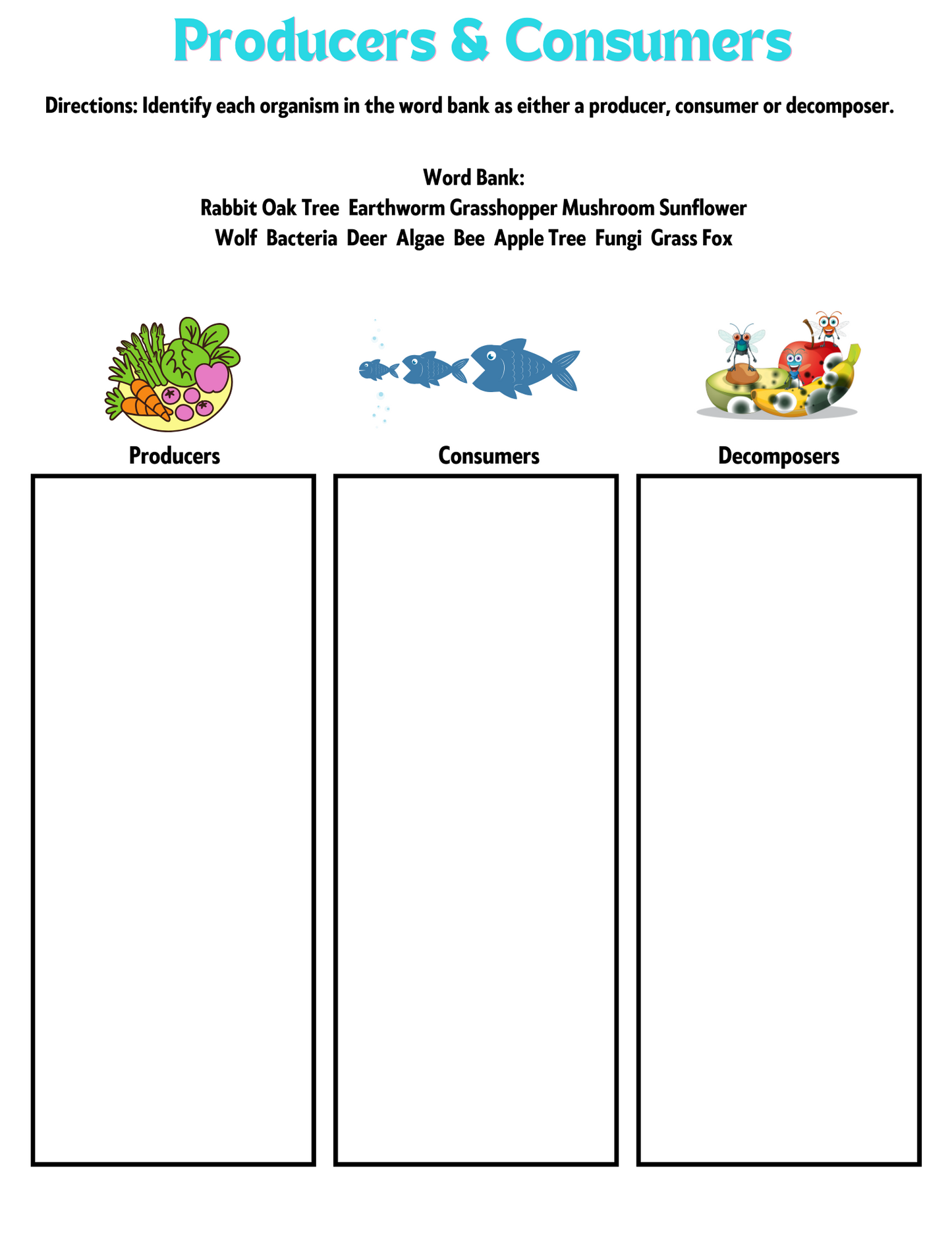 Food Chains Unit Activities