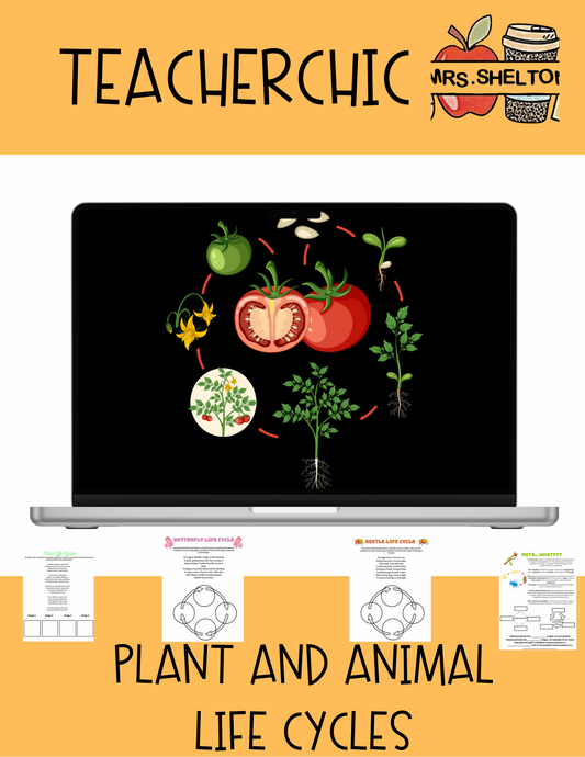 Life Cycles: Plants & Insects Unit Worksheets