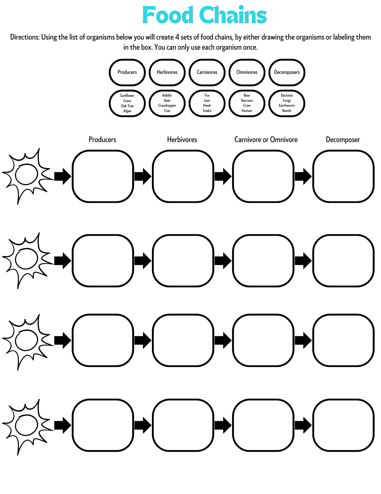 Food Chains Unit Activities