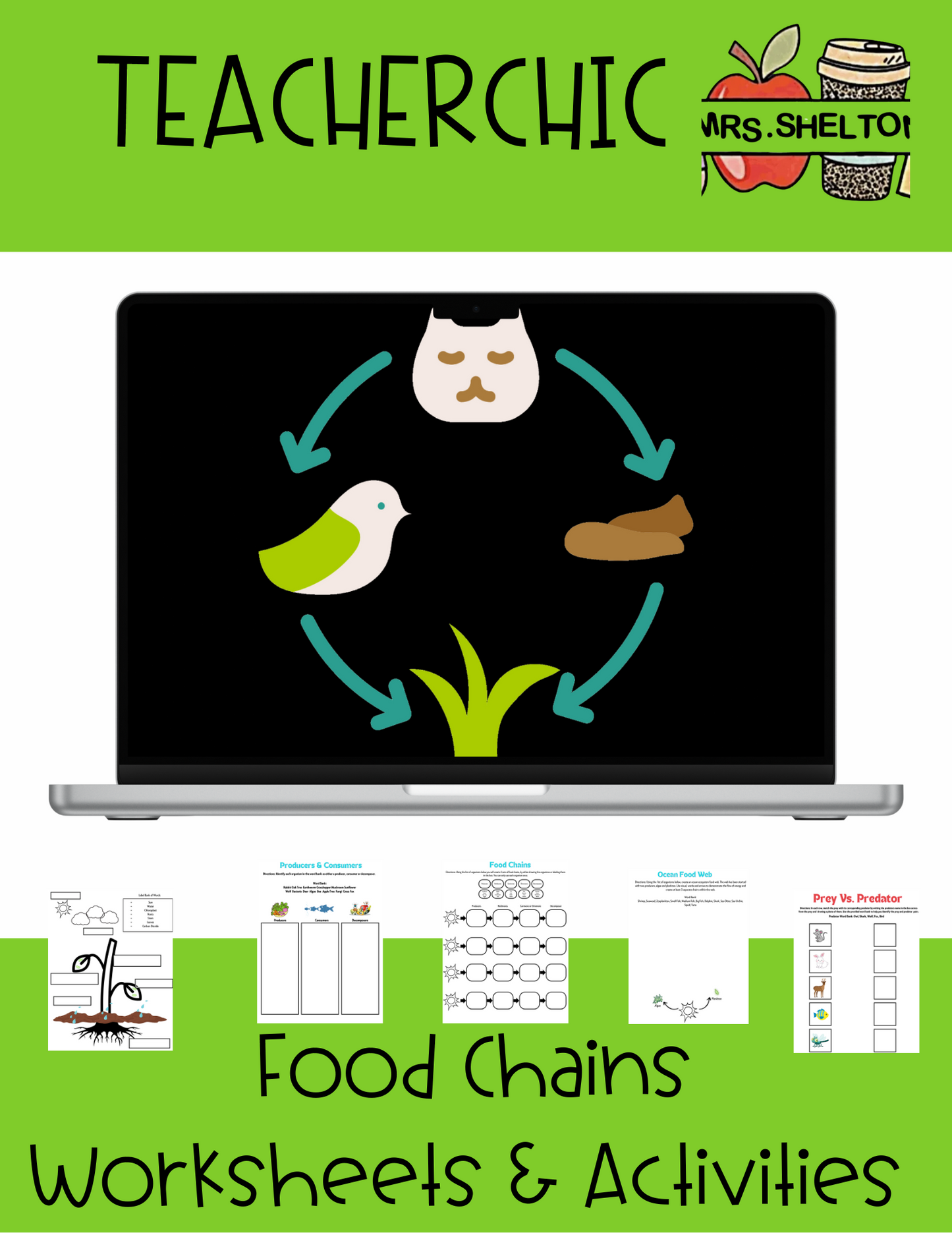 Food Chains Unit Activities